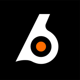 Birdeye icon