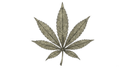 LeafPrint icon