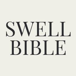Swell Bible icon